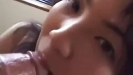 Sưu tập chó cái da đ ...