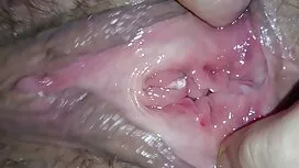 Gia đình Hôn Tình dụ ...