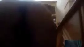 Lồn tube phim sex cạ ...